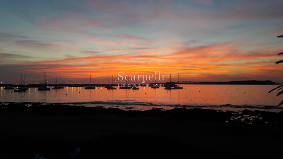 Apartamento ID.7781 - Exclusivo Frente al Puerto de Punta del Este con gran terraza y los mejores atardeceres sobre la Isla Gorriti