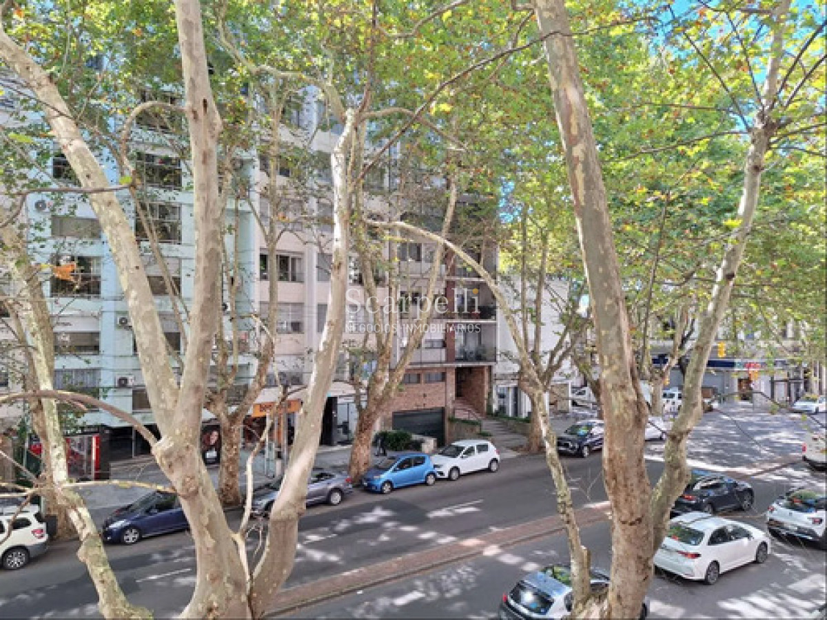 Apartamento ID.50615 - Venta Apartamento Pocitos Av Brasil  2 dormitorios Garaje 