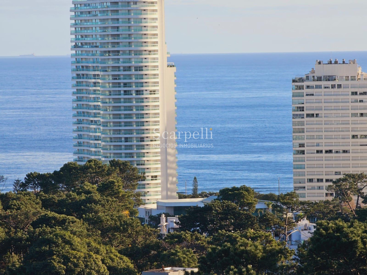 Apartamento ID.50403 - Venta Apartamento Punta del Este Piso Alto Estupenda Vista y Amenities