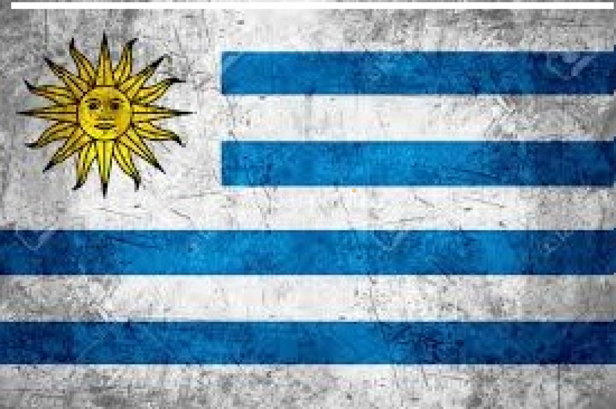 Apartamento ID.36541 - Alquiler Apartamento Pocitos 1 dormitorio Garage Todo Equipado Fco. Soca y Av. Brasil próximo Supermercado Disco.-