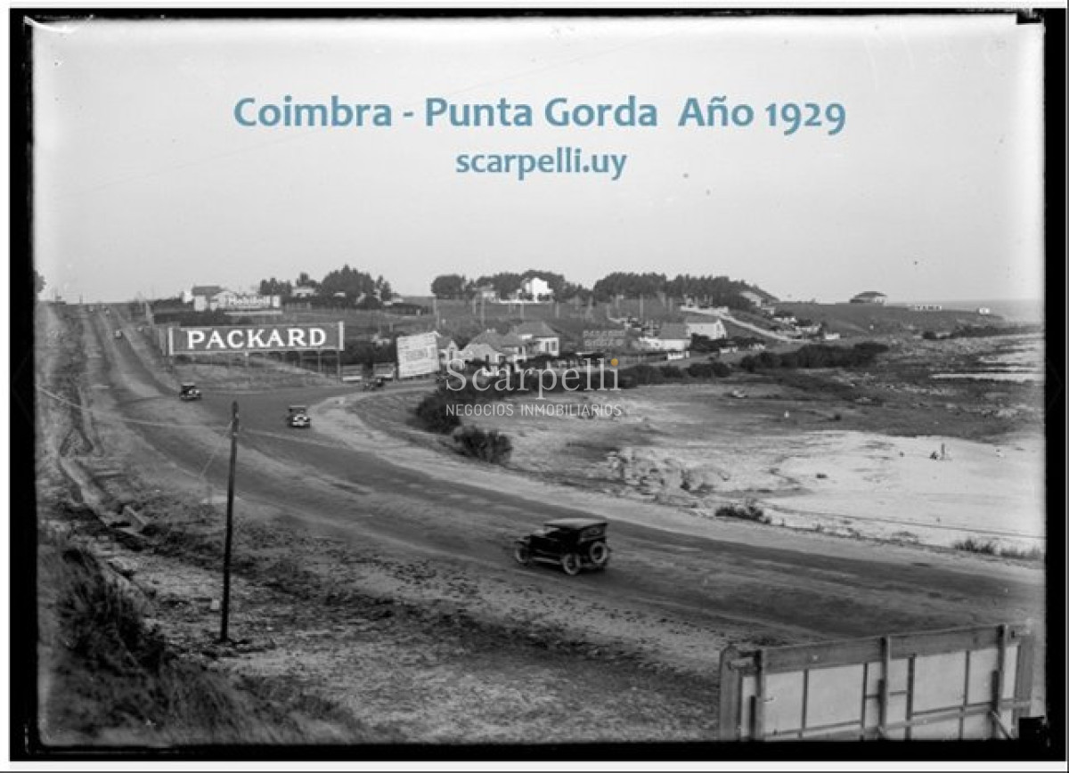 Casa ID.28 - ALQUILER CASA PUNTA GORDA 3 DORMITORIOS FONDO CALEFACCION