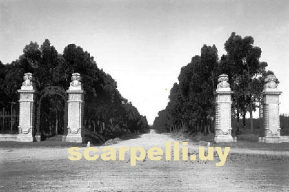 Casa ID.30641 - ALQUILER CASA CARRASCO 3 DORMITORIOS 3 BAÑOS FONDO PISCINA FAMILIA O EMPRESA