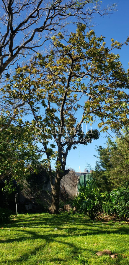 Casa ID.41889 - Gran Residencia de estilo muy próximo de la Rambla con finas terminaciones y estupenda carpintería antigua original