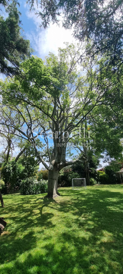 Casa ID.41889 - Gran Residencia de estilo muy próximo de la Rambla con finas terminaciones y estupenda carpintería antigua original