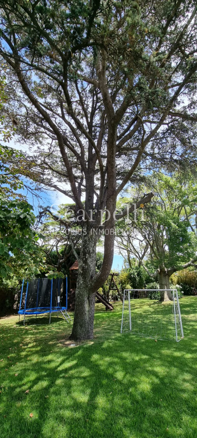 Casa ID.41889 - Gran Residencia de estilo muy próximo de la Rambla con finas terminaciones y estupenda carpintería antigua original