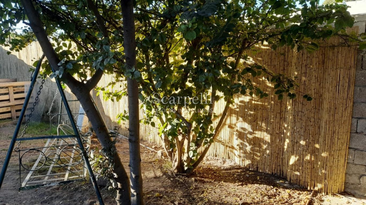 Casa ID.45146 - Buceo Venta Padrón Único Toda en 1 planta con buen fondo + Barbacoa con Baño + Apto independiente con baño y kitchenette.-