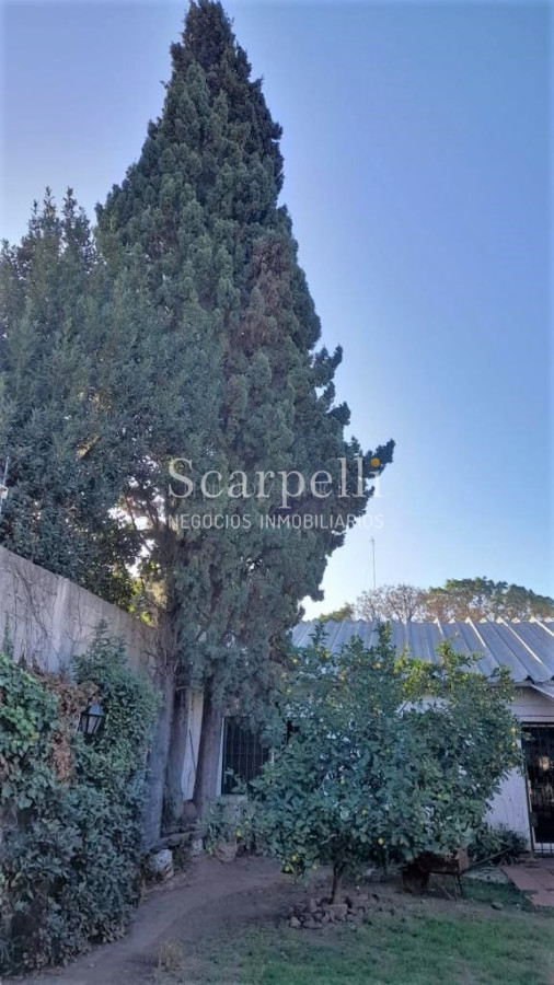 Casa ID.45146 - Buceo Venta Padrón Único Toda en 1 planta con buen fondo + Barbacoa con Baño + Apto independiente con baño y kitchenette.-