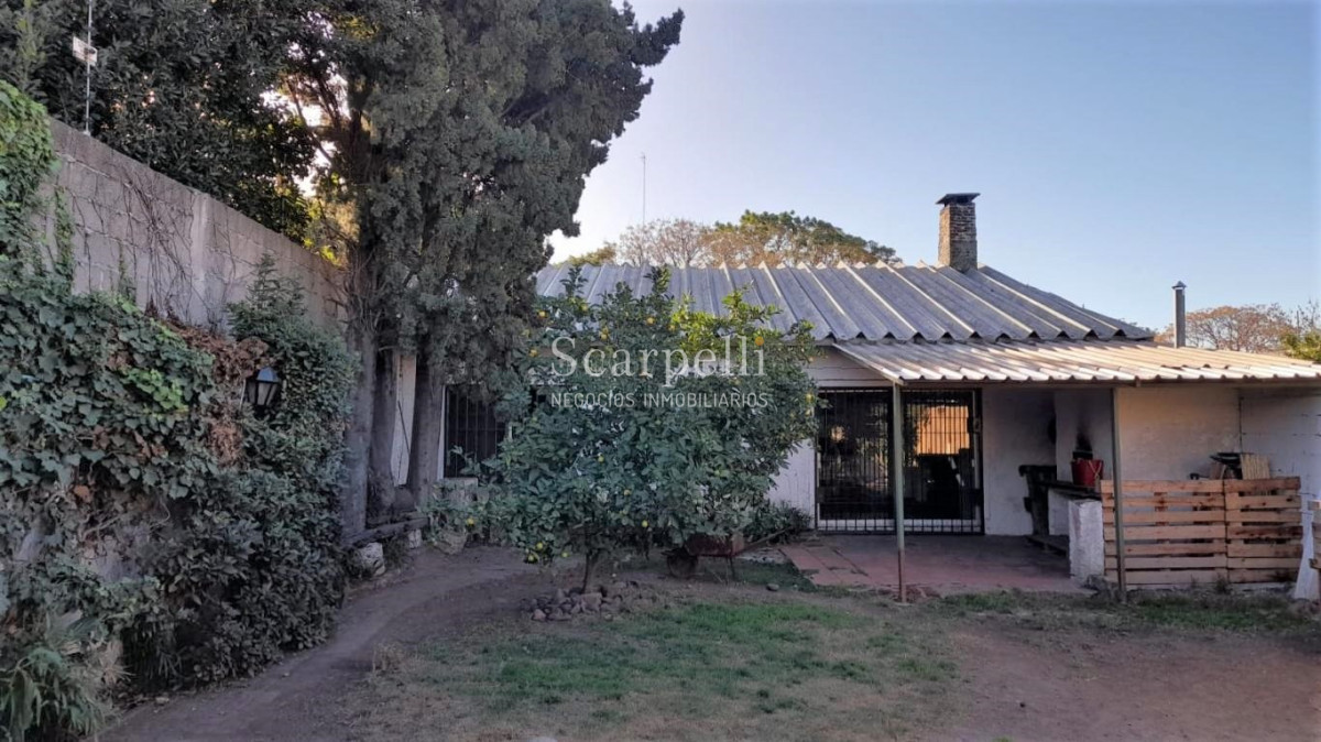 Casa ID.45146 - Buceo Venta Padrón Único Toda en 1 planta con buen fondo + Barbacoa con Baño + Apto independiente con baño y kitchenette.-