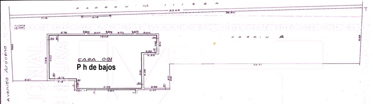 Casa ID.50594 - Alquiler Carrasco Sobre Av. Arocena Ideal Oficinas o Local Comercial Fondo Pasaje Lateral