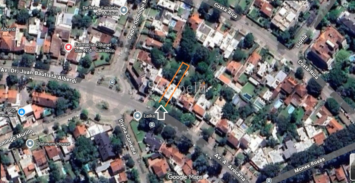 Casa ID.50594 - Alquiler Carrasco Sobre Av. Arocena Ideal Oficinas o Local Comercial Fondo Pasaje Lateral