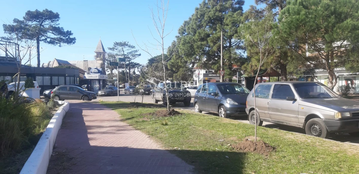 Casa ID.22234 - Casona  en Carrasco - Céntrica - Muy Próxima a Av. Arocena - Hotel Casino Carrasco & Rambla.-