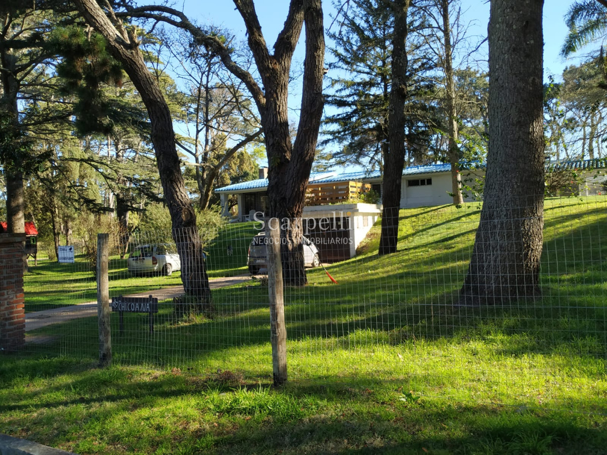 Casa ID.22485 - Chalet de Tejas Coloniales  todo en 1 planta construído por el afamado Arq. Mauricio Litman.-