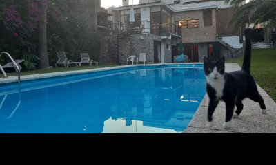 Importante Residencia de estilo Sureño Americano con importante terreno y casi 400 m2 edificados.-