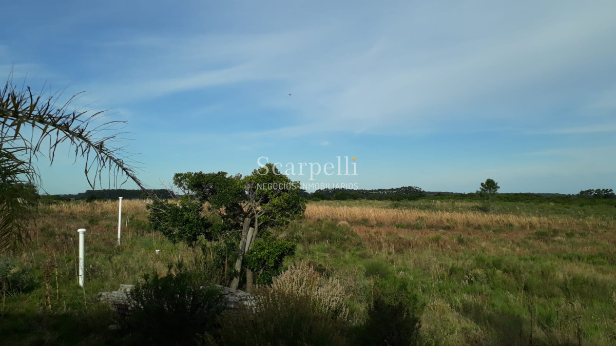 Chacra ID.10296 - A minutos de Punta del Este en un entorno natural y de paz
