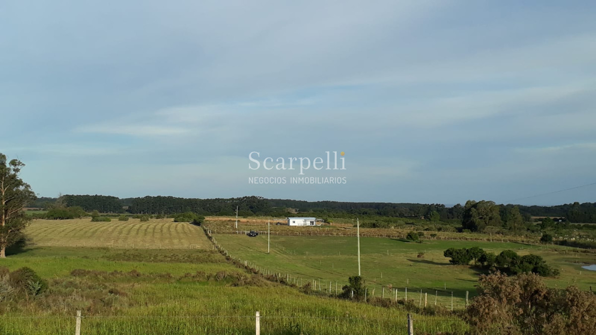Chacra ID.10296 - A minutos de Punta del Este en un entorno natural y de paz