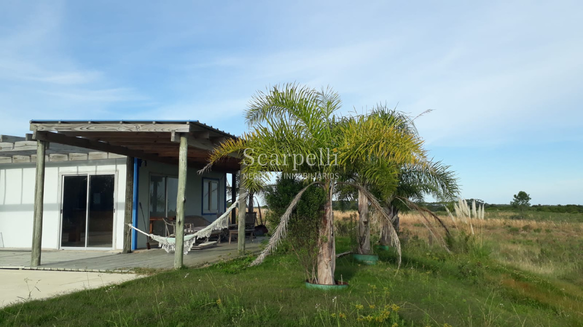 Chacra ID.10296 - A minutos de Punta del Este en un entorno natural y de paz