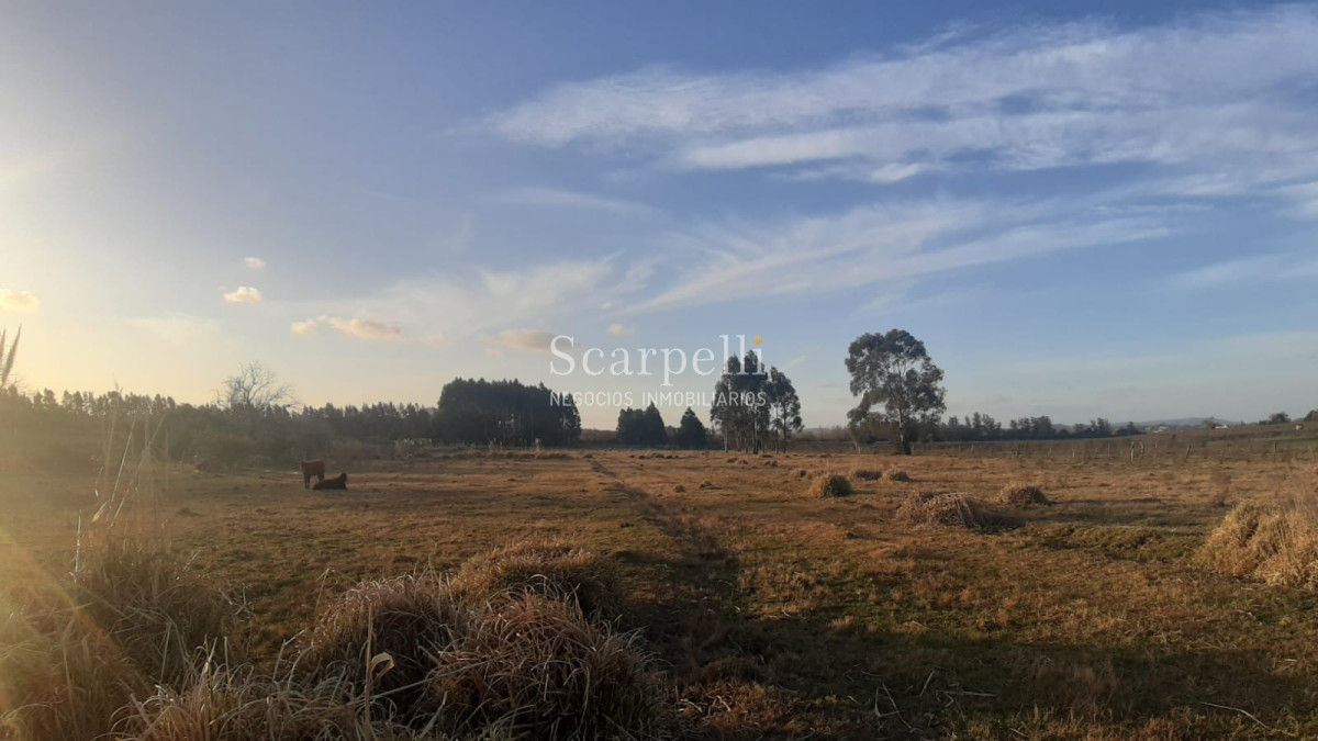 Chacra ID.12694 - Atención Desarrolladores e Inversores: En la entrada de la Ciudad de Minas Lavalleja casi 5 hás Estratégicas.-