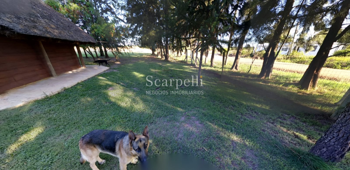 Chacra ID.13798 - Soñada Chacra de casi 4 hás. ! Equipada y diseñada para vivir todo el año próximo Ciudad de Las Piedras y tan solo 25 min. de Montevideo.-