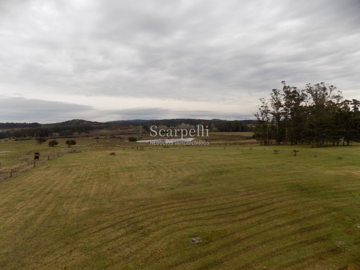Chacra ID.14051 - 15 hás proximo a  Ruta 39 Maldonado/San Carlos y Anillo perimetral Luis Alberto de Herrera