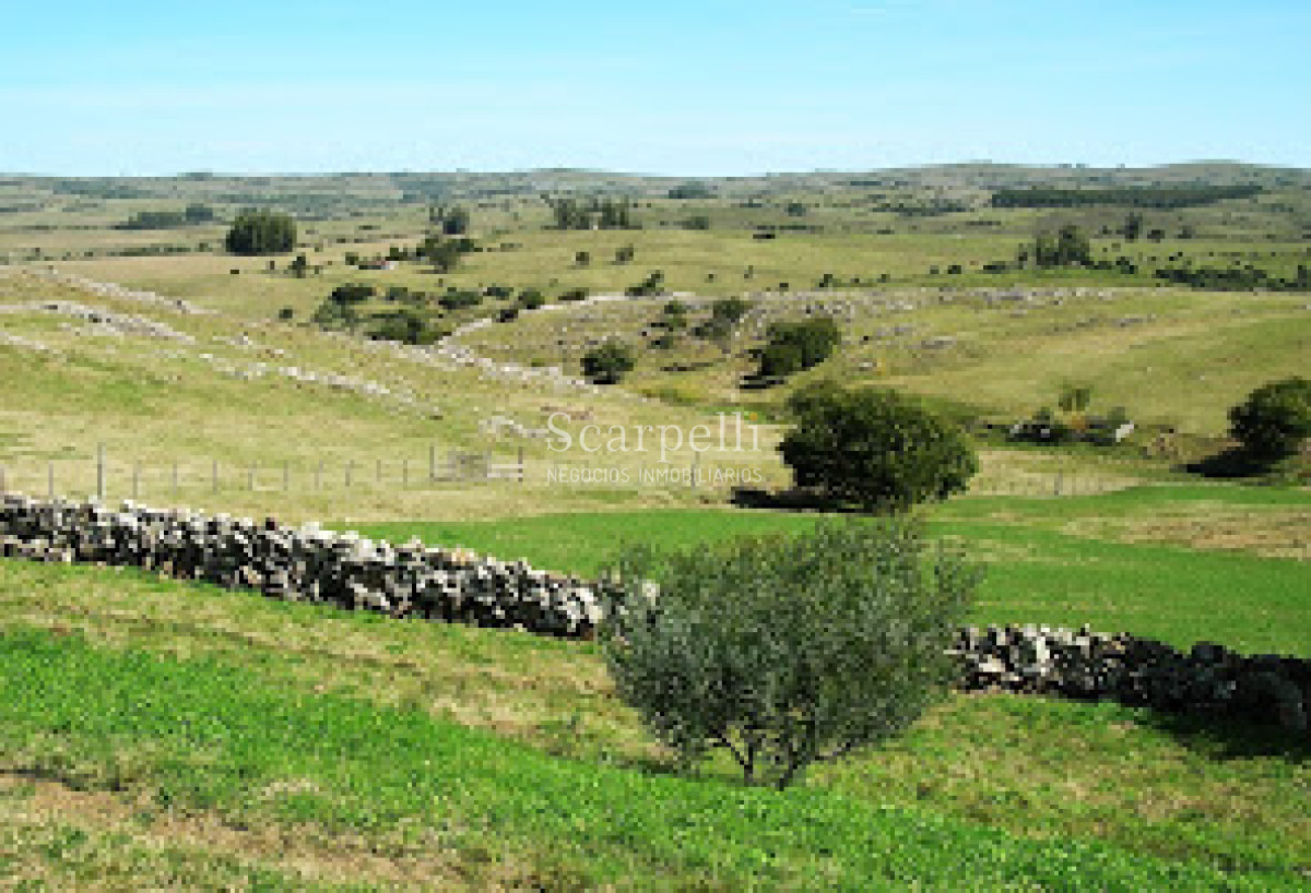 Chacra ID.16382 - Pueblo Edén: Maldonado proximo a Ciudad de Minas Lavalleja: Gran Casco con Piscina y todas las Comodidades