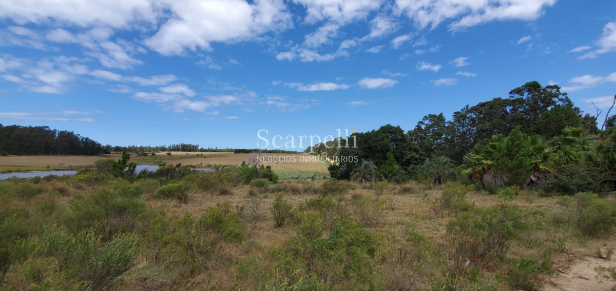 Chacra ID.17175 - Manantiales: Chacra de 5 hás en inmejorable entorno muy próximo a Fundación  Atchugarry Ruta 104  * iDeal Proyecto Turístico /  Hotel Boutique.-