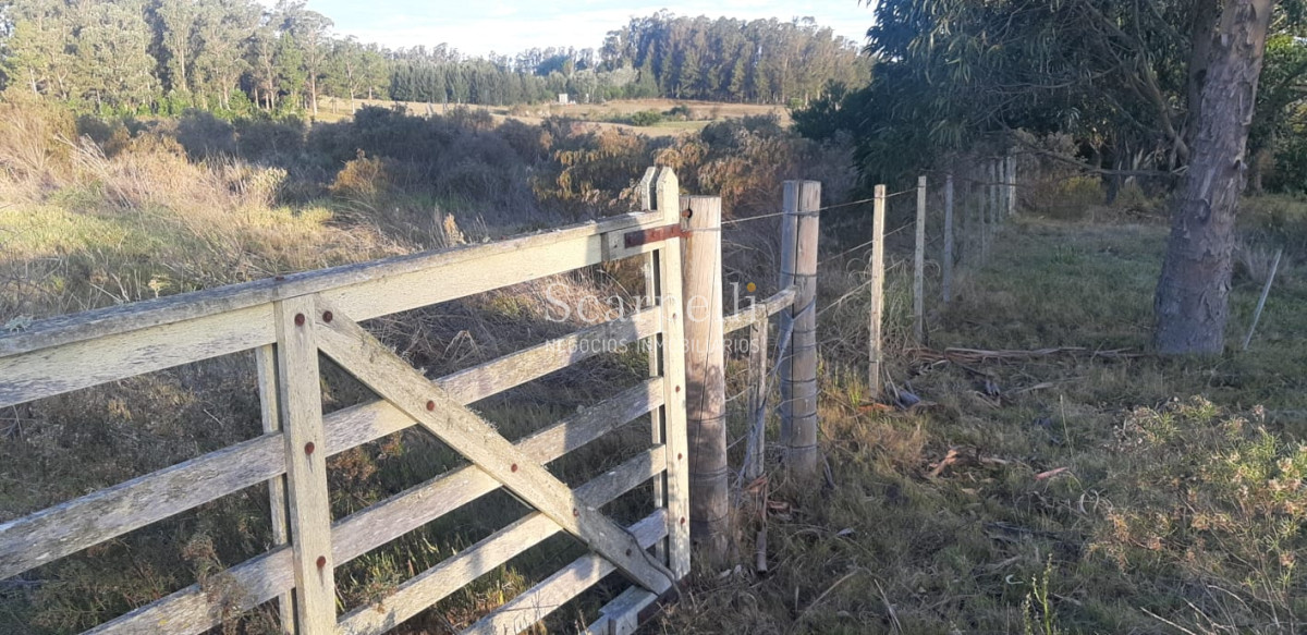 Chacra ID.17175 - Manantiales: Chacra de 5 hás en inmejorable entorno muy próximo a Fundación  Atchugarry Ruta 104  * iDeal Proyecto Turístico /  Hotel Boutique.-