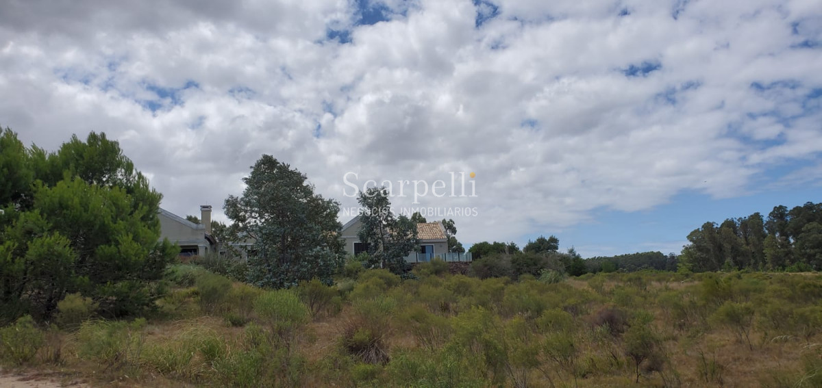 Chacra ID.17175 - Manantiales: Chacra de 5 hás en inmejorable entorno muy próximo a Fundación  Atchugarry Ruta 104  * iDeal Proyecto Turístico /  Hotel Boutique.-