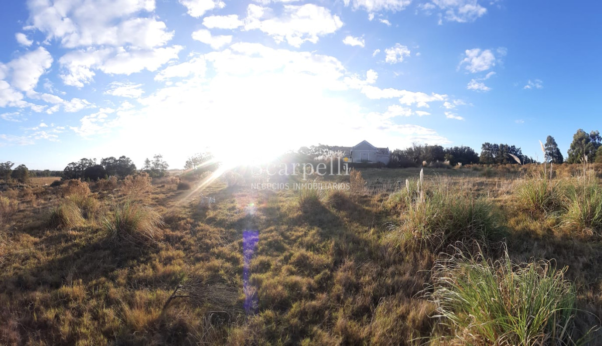 Chacra ID.17175 - Manantiales: Chacra de 5 hás en inmejorable entorno muy próximo a Fundación  Atchugarry Ruta 104  * iDeal Proyecto Turístico /  Hotel Boutique.-