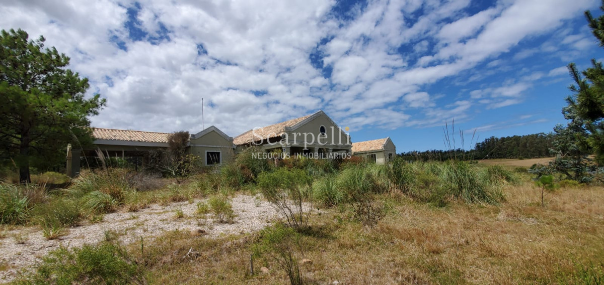 Chacra ID.17175 - Manantiales: Chacra de 5 hás en inmejorable entorno muy próximo a Fundación  Atchugarry Ruta 104  * iDeal Proyecto Turístico /  Hotel Boutique.-