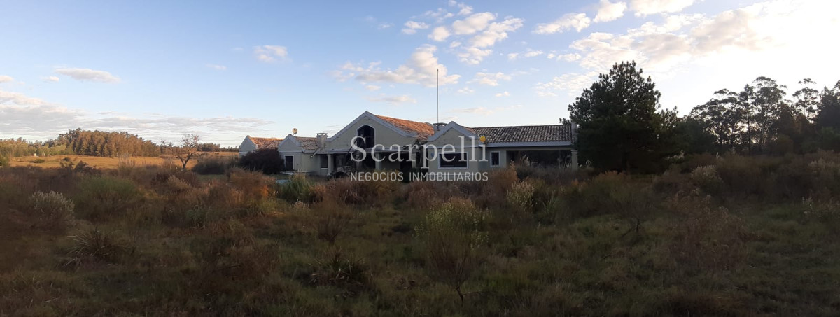 Chacra ID.17175 - Manantiales: Chacra de 5 hás en inmejorable entorno muy próximo a Fundación  Atchugarry Ruta 104  * iDeal Proyecto Turístico /  Hotel Boutique.-
