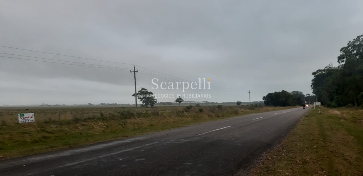 Chacra ID.19143 - Chacras exclusivas en la Ruta 10 muy proximo al acceso a Cabo Polonio y con fondos a la Laguna de Castillos.-