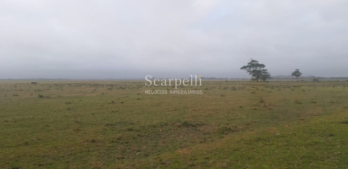 Chacra ID.19143 - Chacras exclusivas en la Ruta 10 muy proximo al acceso a Cabo Polonio y con fondos a la Laguna de Castillos.-