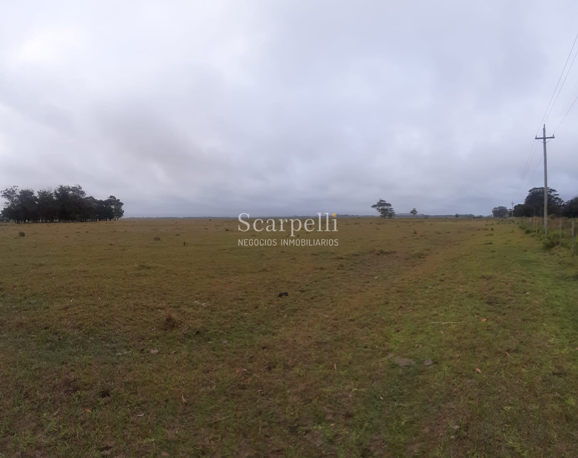 Chacra ID.19143 - Chacras exclusivas en la Ruta 10 muy proximo al acceso a Cabo Polonio y con fondos a la Laguna de Castillos.-