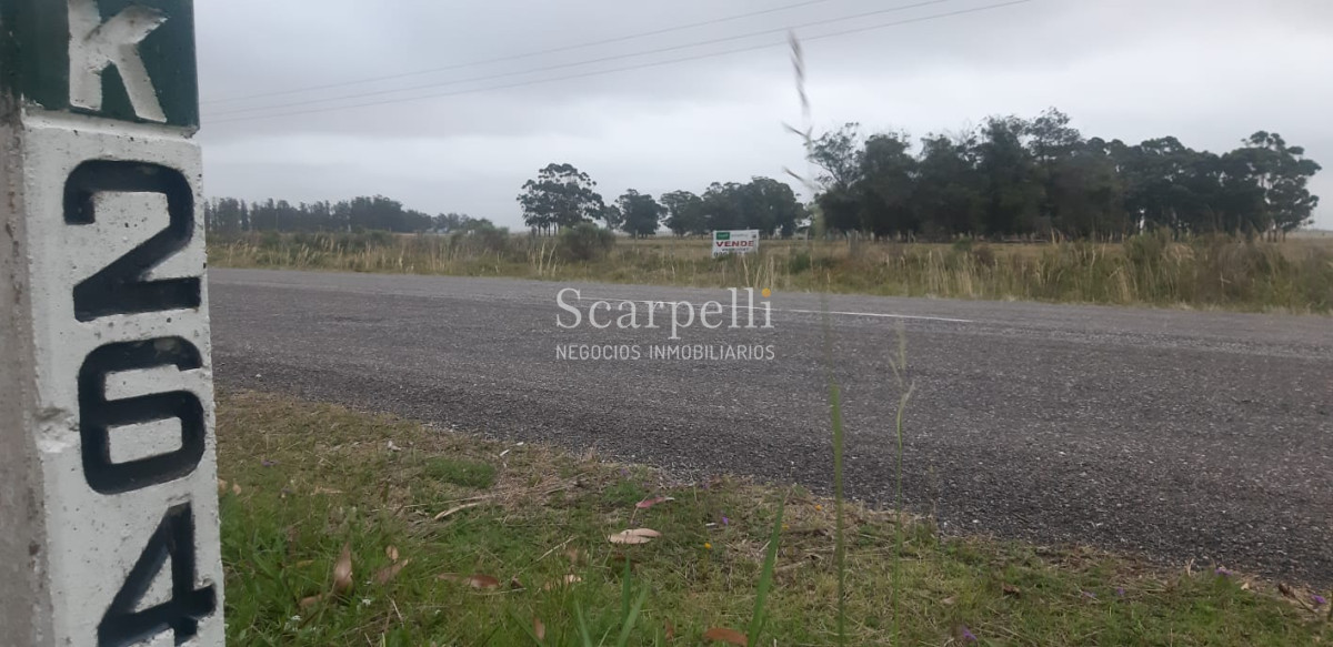 Chacra ID.19143 - Chacras exclusivas en la Ruta 10 muy proximo al acceso a Cabo Polonio y con fondos a la Laguna de Castillos.-