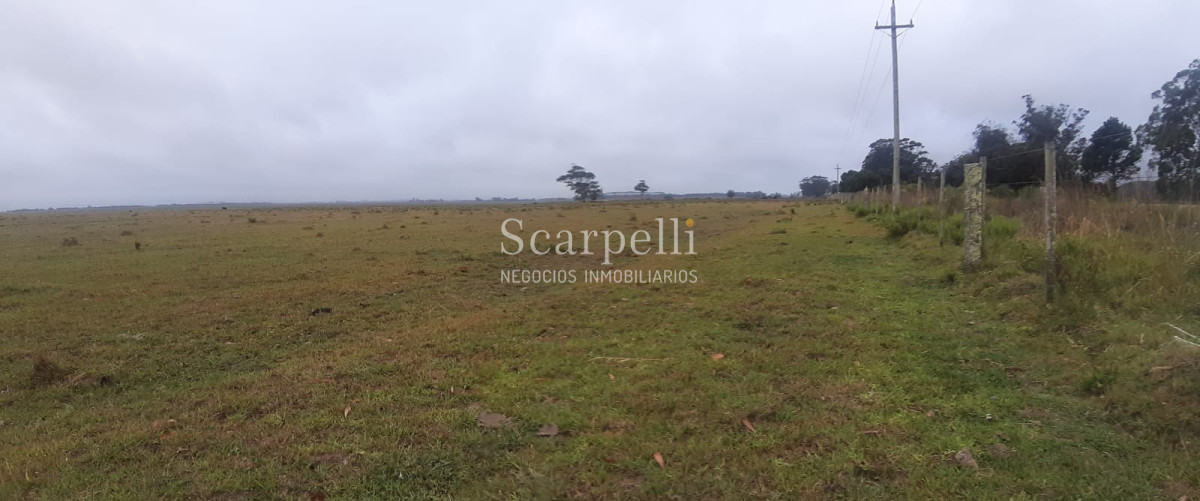 Chacra ID.19143 - Chacras exclusivas en la Ruta 10 muy proximo al acceso a Cabo Polonio y con fondos a la Laguna de Castillos.-