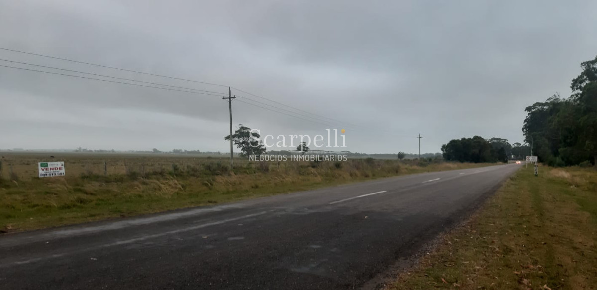 Chacra ID.19143 - Chacras exclusivas en la Ruta 10 muy proximo al acceso a Cabo Polonio y con fondos a la Laguna de Castillos.-