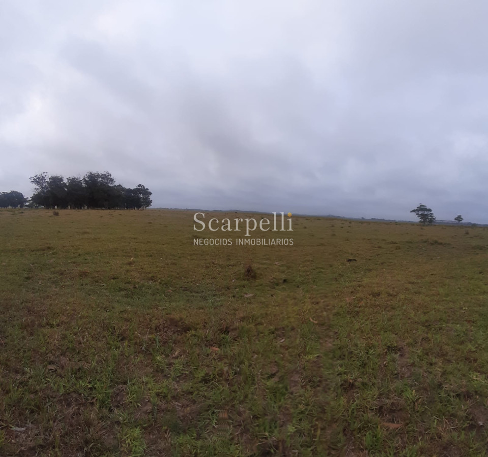 Chacra ID.19143 - Chacras exclusivas en la Ruta 10 muy proximo al acceso a Cabo Polonio y con fondos a la Laguna de Castillos.-