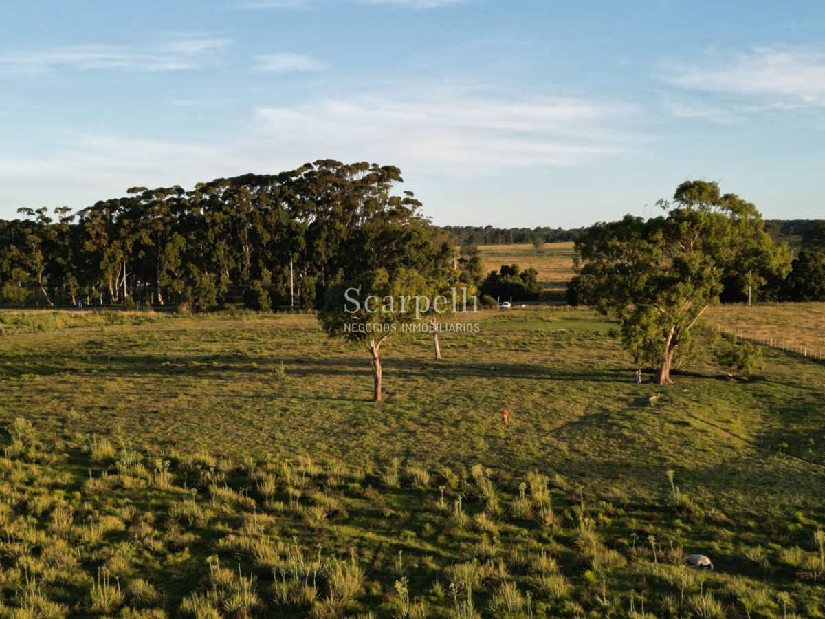 Chacra ID.19143 - Chacras exclusivas en la Ruta 10 muy proximo al acceso a Cabo Polonio y con fondos a la Laguna de Castillos.-
