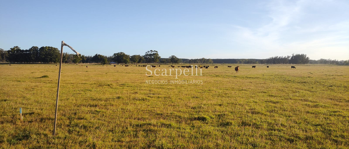 Chacra ID.19143 - Chacras exclusivas en la Ruta 10 muy proximo al acceso a Cabo Polonio y con fondos a la Laguna de Castillos.-