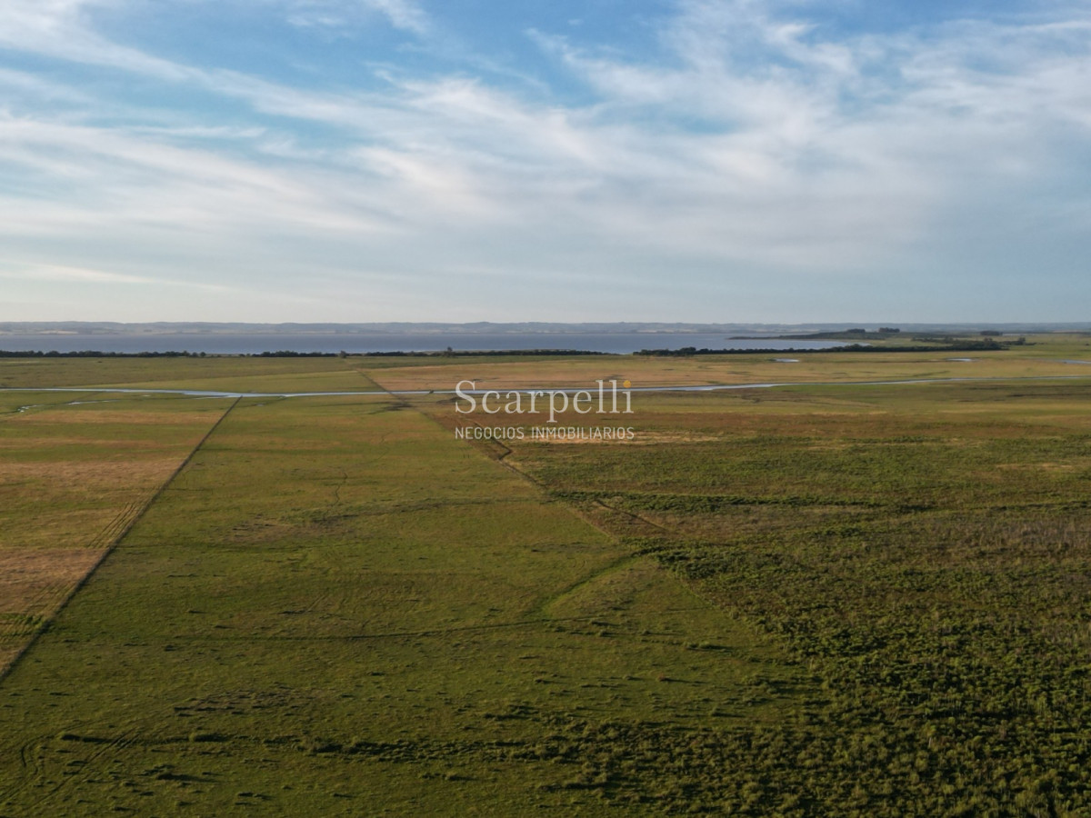 Chacra ID.19143 - Chacras exclusivas en la Ruta 10 muy proximo al acceso a Cabo Polonio y con fondos a la Laguna de Castillos.-