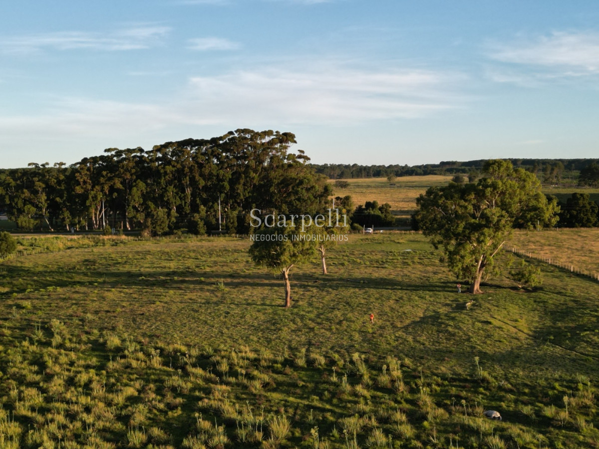 Chacra ID.19143 - Chacras exclusivas en la Ruta 10 muy proximo al acceso a Cabo Polonio y con fondos a la Laguna de Castillos.-