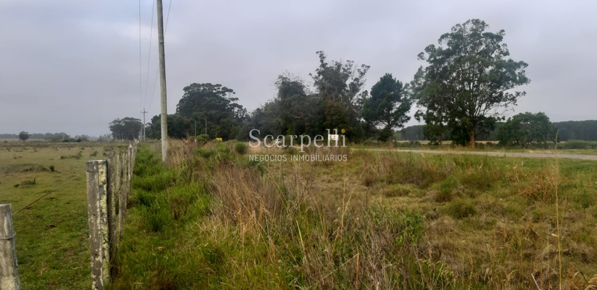 Chacra ID.19143 - Chacras exclusivas en la Ruta 10 muy proximo al acceso a Cabo Polonio y con fondos a la Laguna de Castillos.-