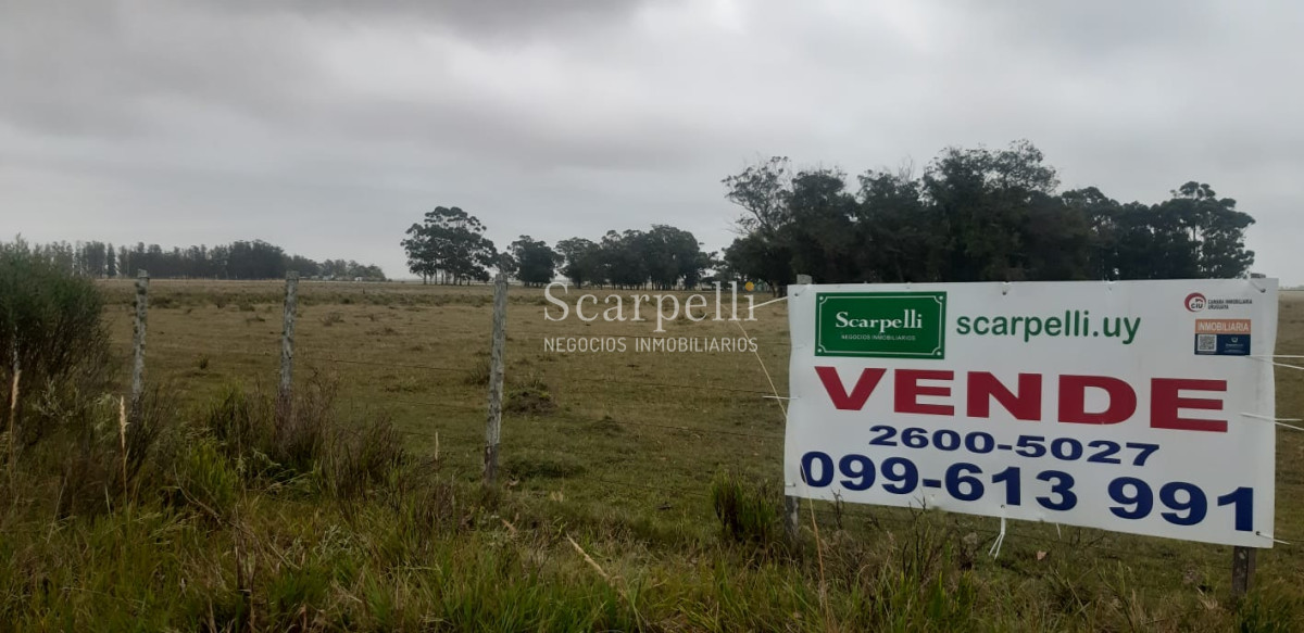 Chacra ID.19143 - Chacras exclusivas en la Ruta 10 muy proximo al acceso a Cabo Polonio y con fondos a la Laguna de Castillos.-