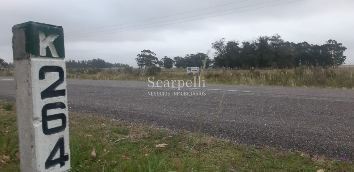 Chacra ID.19143 - Chacras exclusivas en la Ruta 10 muy proximo al acceso a Cabo Polonio y con fondos a la Laguna de Castillos.-