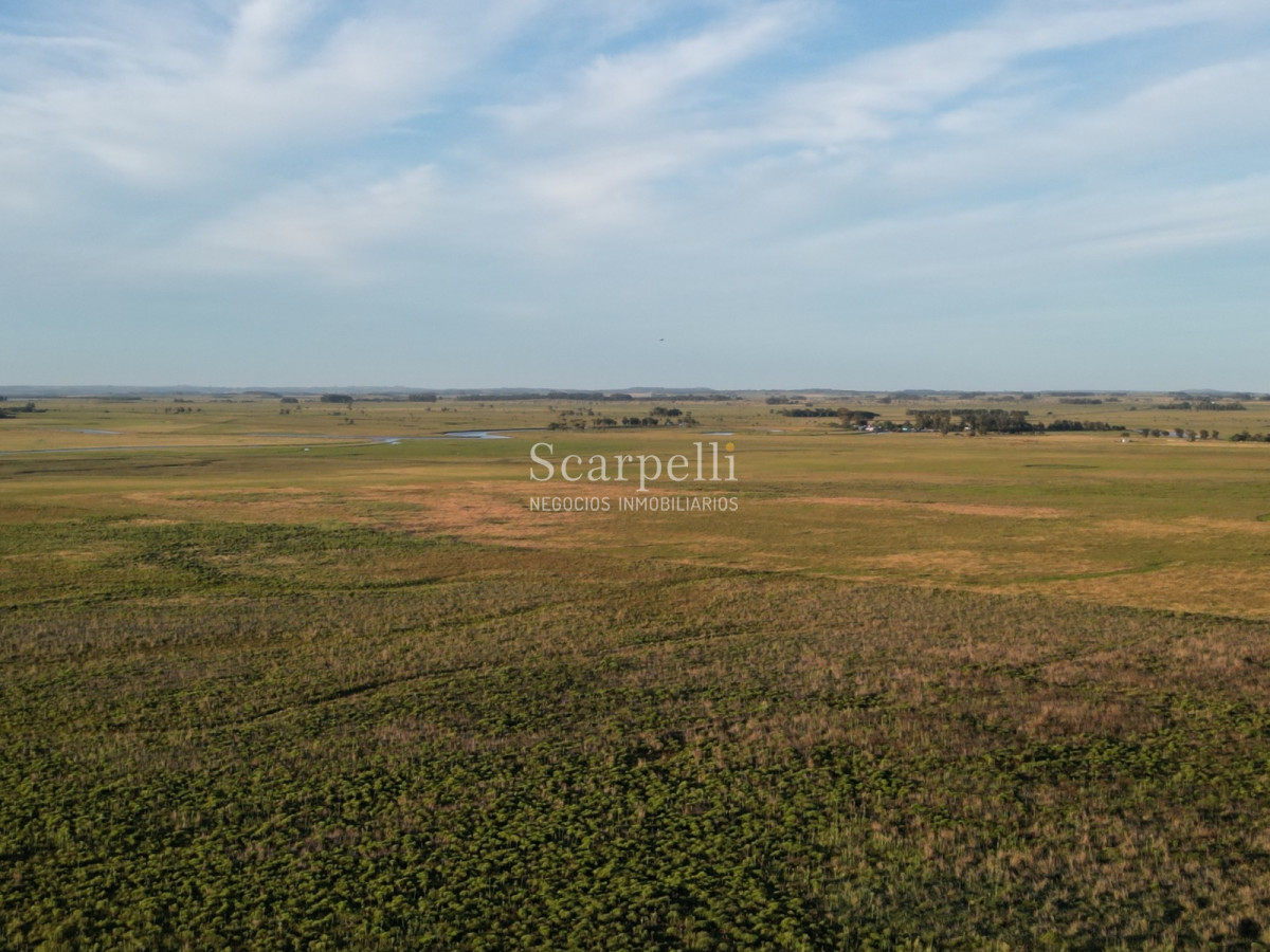 Chacra ID.19143 - Chacras exclusivas en la Ruta 10 muy proximo al acceso a Cabo Polonio y con fondos a la Laguna de Castillos.-
