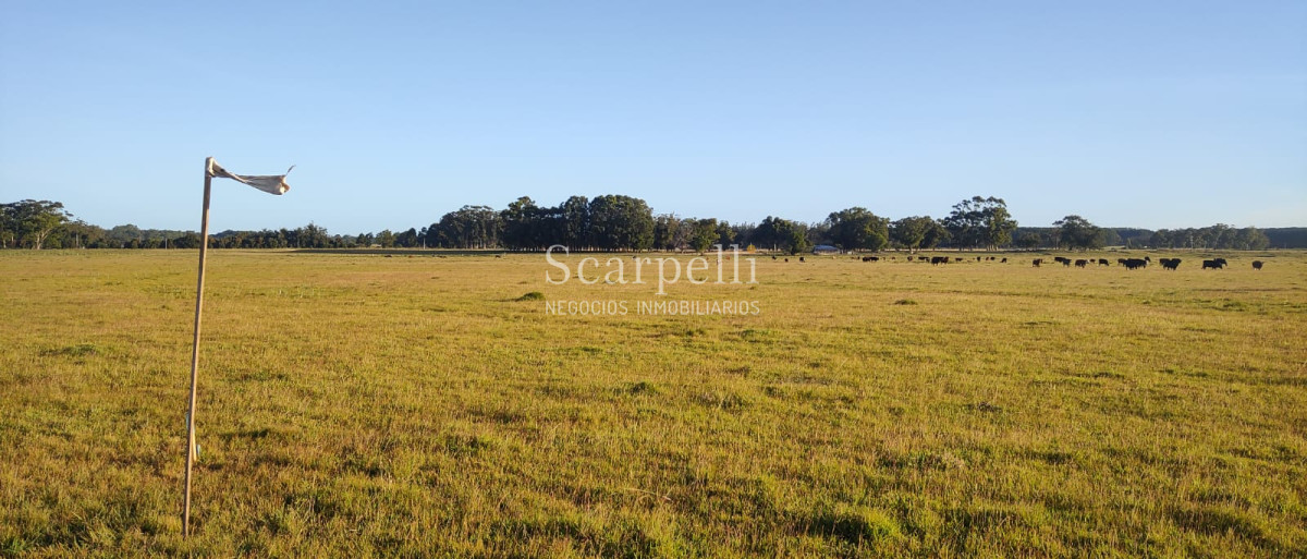 Chacra ID.19143 - Chacras exclusivas en la Ruta 10 muy proximo al acceso a Cabo Polonio y con fondos a la Laguna de Castillos.-