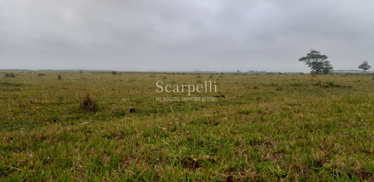 Chacra ID.19143 - Chacras exclusivas en la Ruta 10 muy proximo al acceso a Cabo Polonio y con fondos a la Laguna de Castillos.-