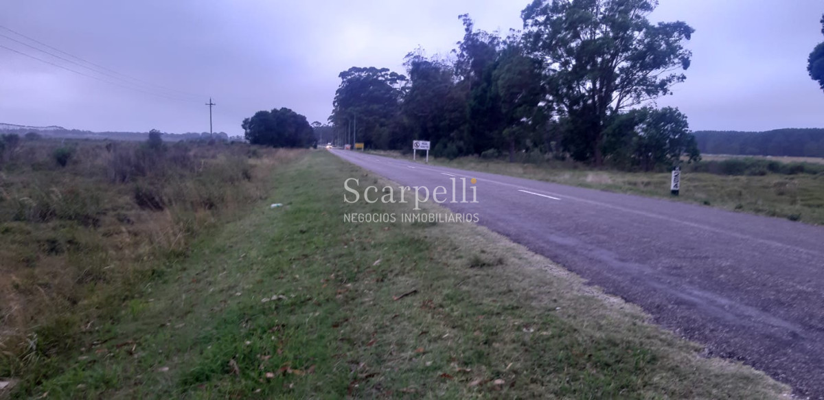 Chacra ID.19143 - Chacras exclusivas en la Ruta 10 muy proximo al acceso a Cabo Polonio y con fondos a la Laguna de Castillos.-