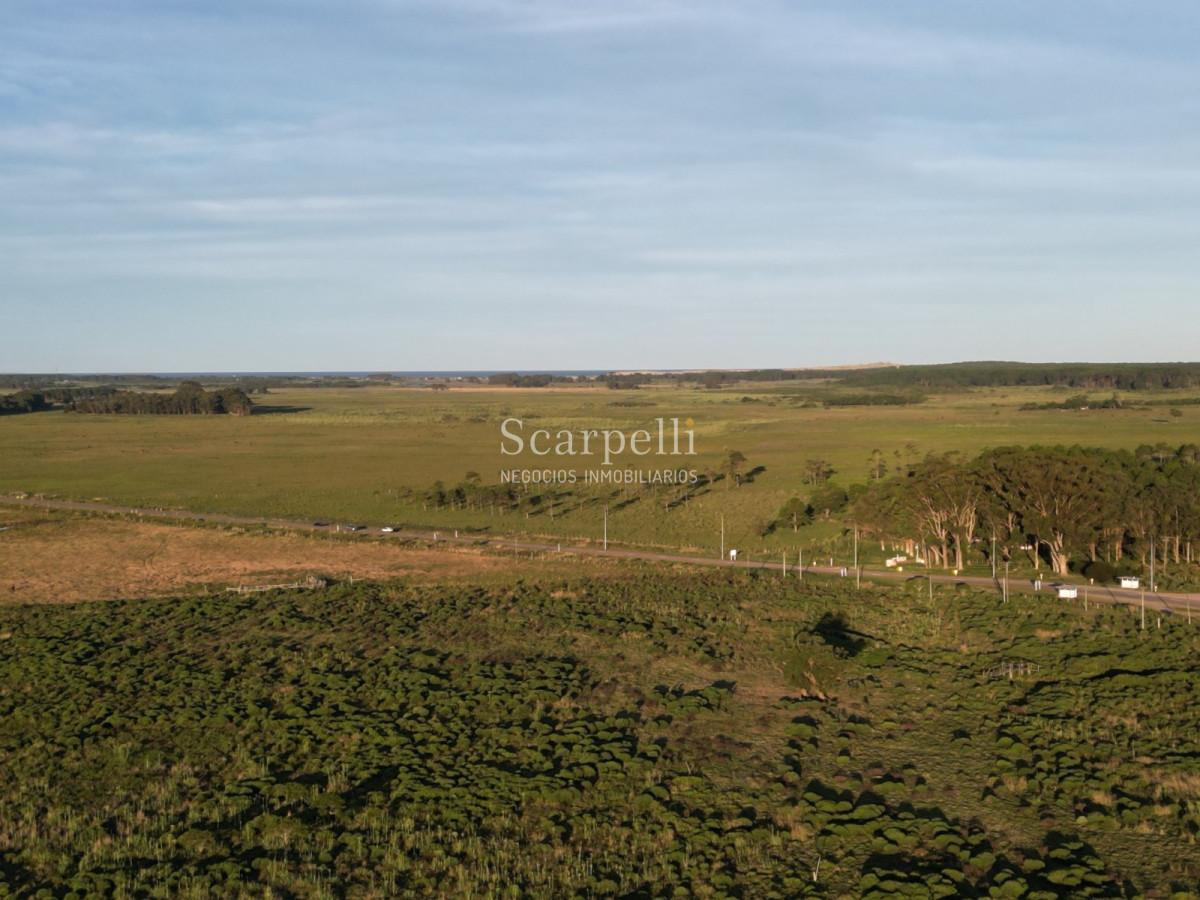 Chacra ID.19143 - Chacras exclusivas en la Ruta 10 muy proximo al acceso a Cabo Polonio y con fondos a la Laguna de Castillos.-