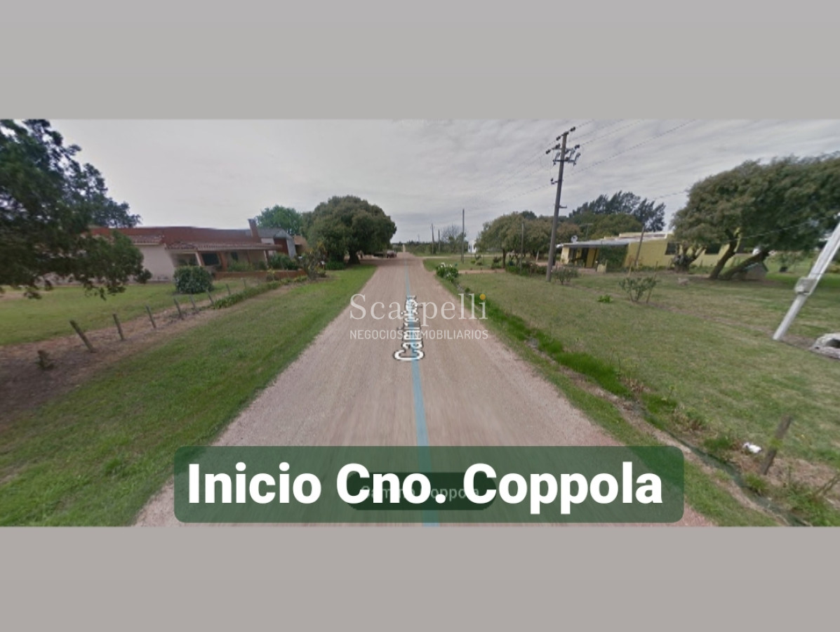 Chacra ID.19343 - Chacra en Suave Ondulación con Casco para Reciclar Los Cerrillos Ruta 36 Rincón del Colorado o Colorado Chico